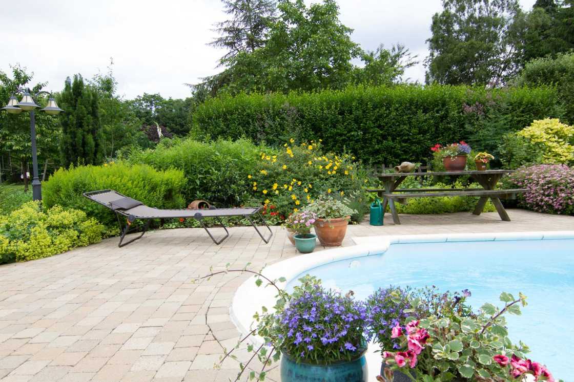 photo de jardin