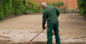 Entretien d'un jardin